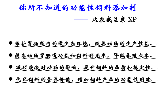 益康XP