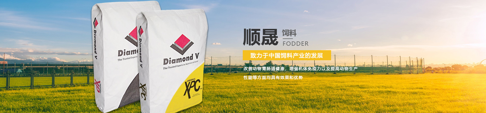 肉牛脱霉剂